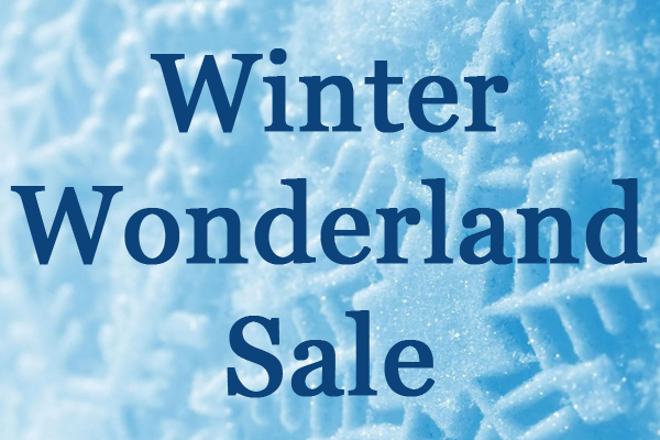Discovery Toys Wintere Sale
